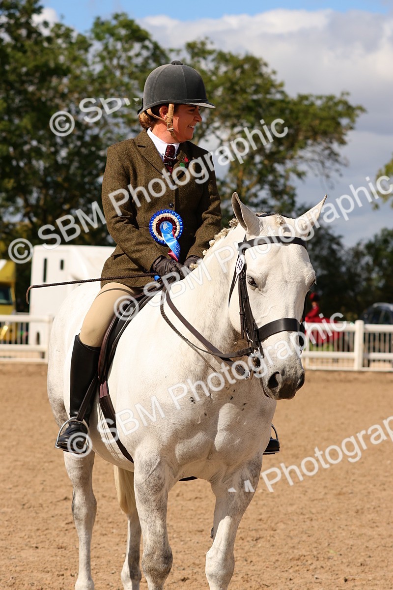 SBM_13234 - Class 211 - Ridden Hunter - Small