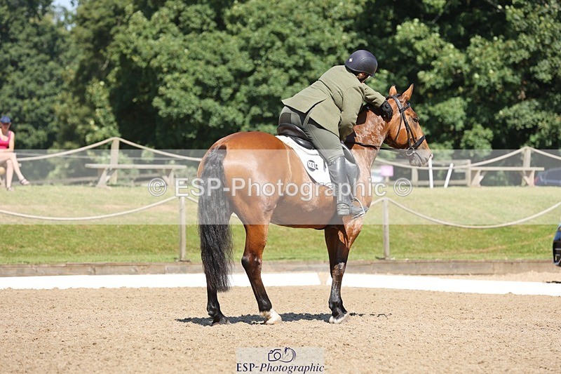 240719-105534-00823 - 169-Marion_Eaves-Indigo_Queen_of_Hearts