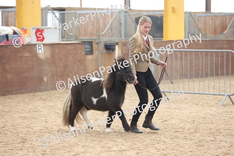 20251109-0196 - Class 10 - Yearling, Colt, Filly or Gelding