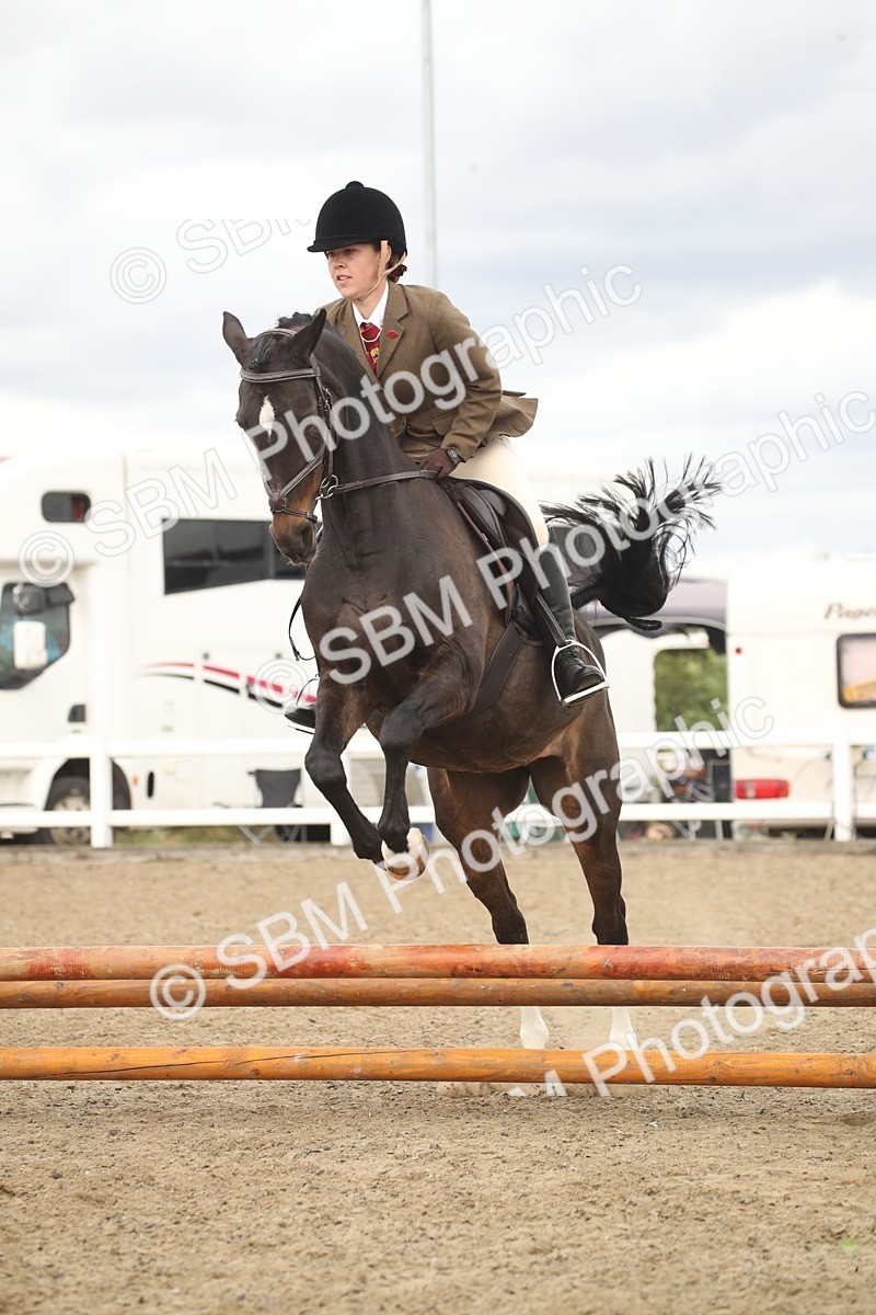 SBM_16740 - Class 507b - Working Veteran 60cm (20+)