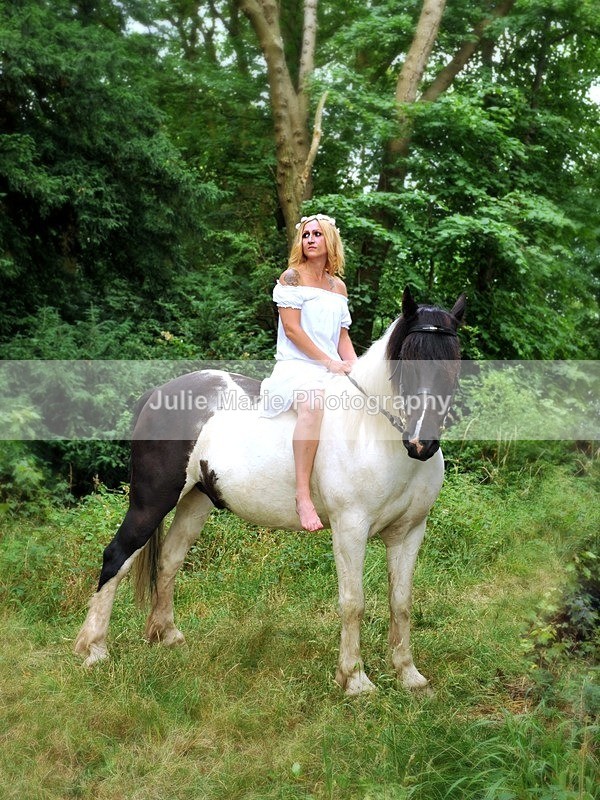 donna - Equine Photography