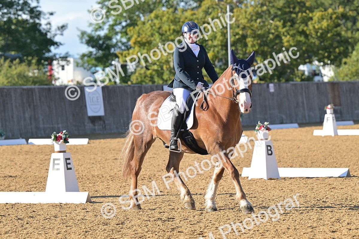 SBM_12994 - D3 - Small Tour Championship Intro 3