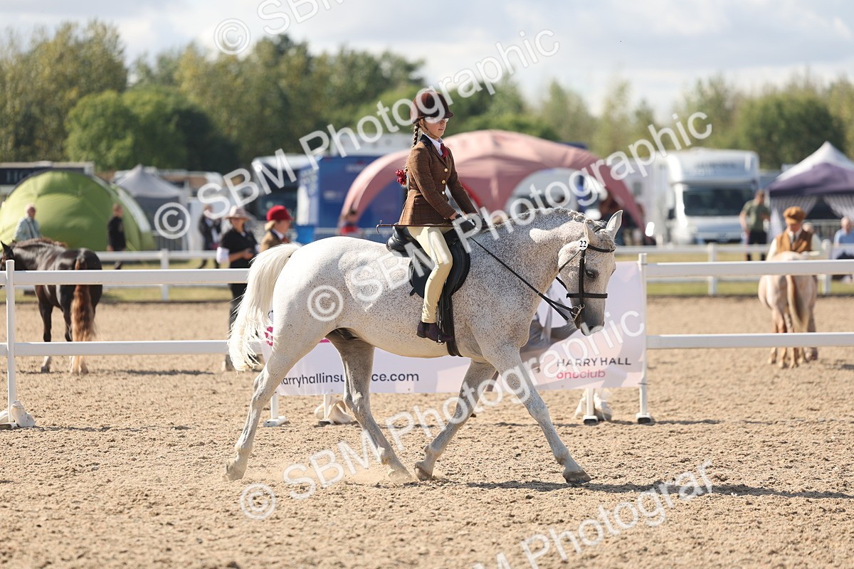 SBM_13181 - Class 306 - Ridden Foreign Breds - Part Bred