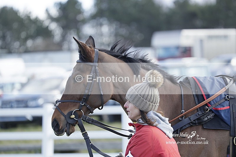 PtP 260223 673 - South & West Wilts Point-to-Point Larkhill 26/02/23