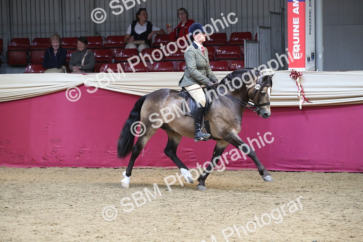 SBM_16262 - Class 502 M&M Ridden Supreme Final