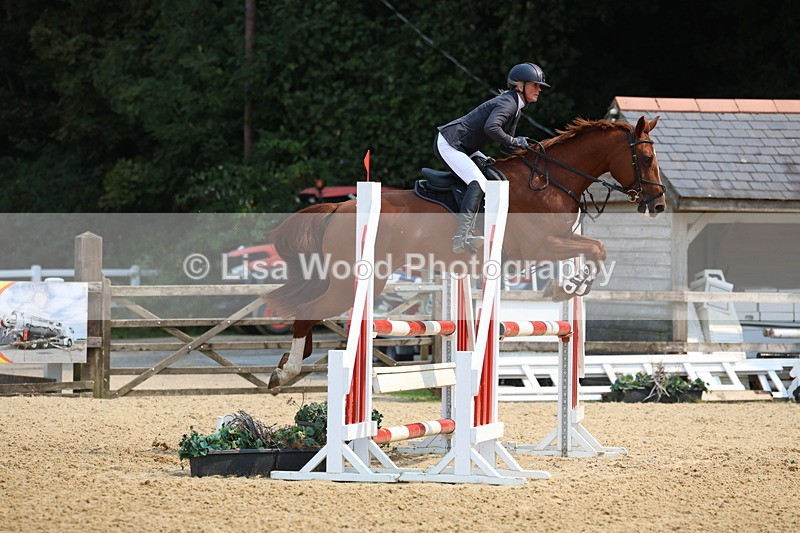 3E7A1385 - Class 4: Senior British Novice/90cm open