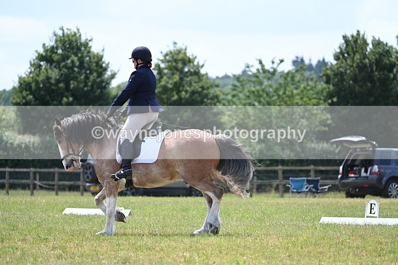 WJ7_8173 - Time 13:35 to 13:40