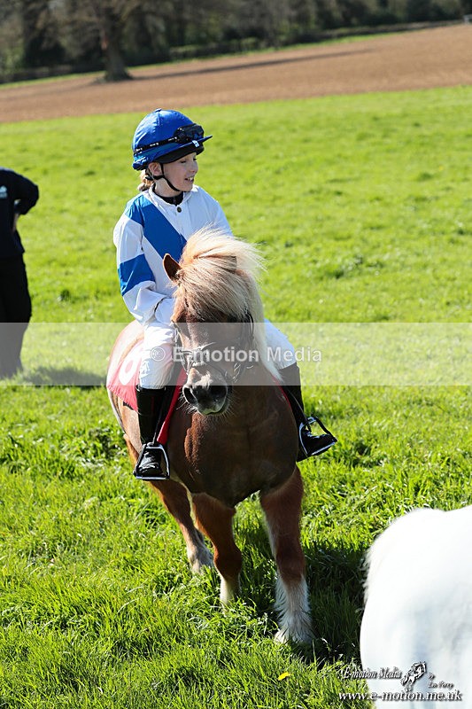 Shet 060426 230 - Shetland Pony Racing Paxford Races Easter Mon 06/04/26