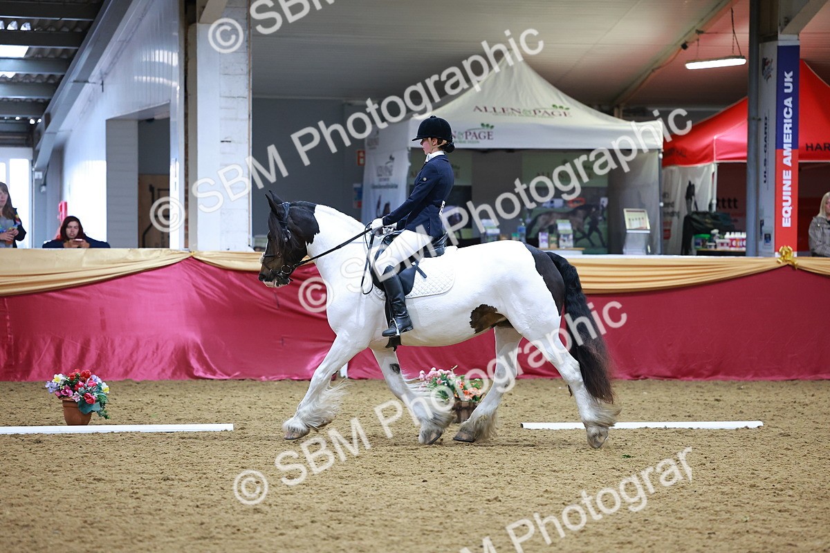 SBM_06622 - Class 61 - Dressage to Music