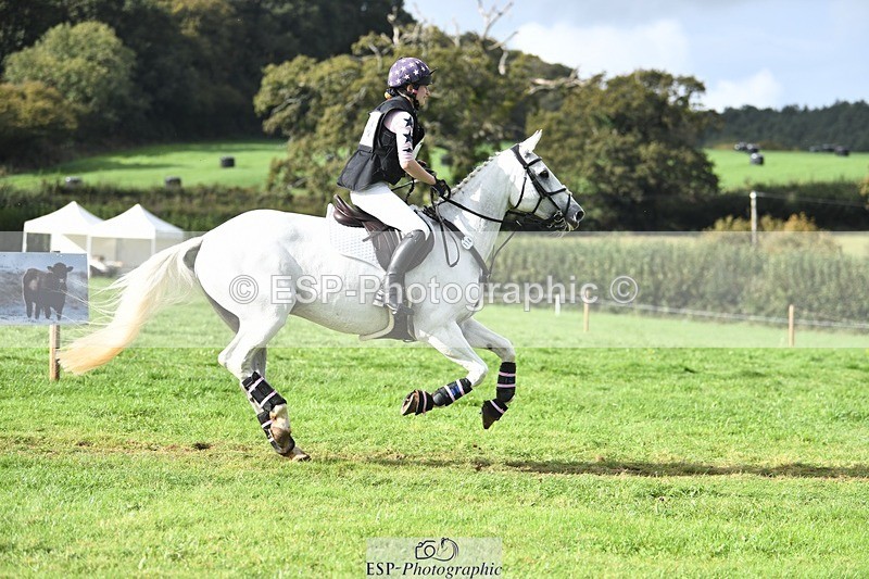 231020-140324-09649 - 114-LATINA'S.TWINKELING-Pippa.Haslam-XC