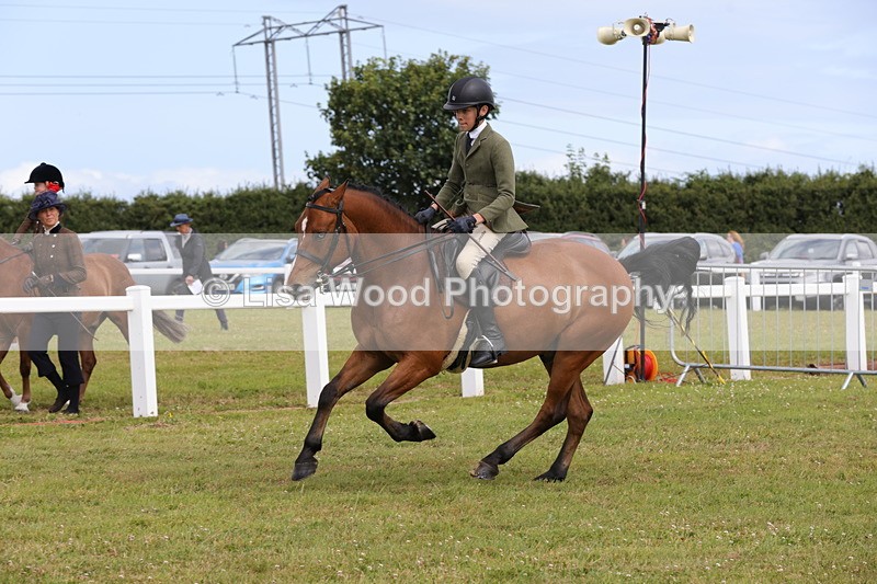 1X9A4061 - Class 32: Show Hunter Pony 153cm and under