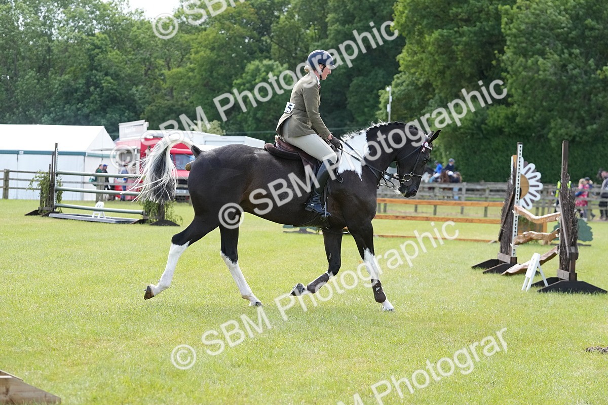 SBM_12866 - Class 99 - RIHS SEIB Working Show Horse