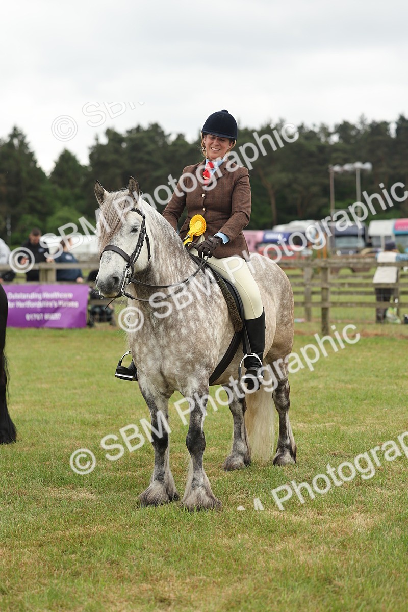 SBM_09053 - Class 78-80 - Ridden M&M Non Welsh Ponies