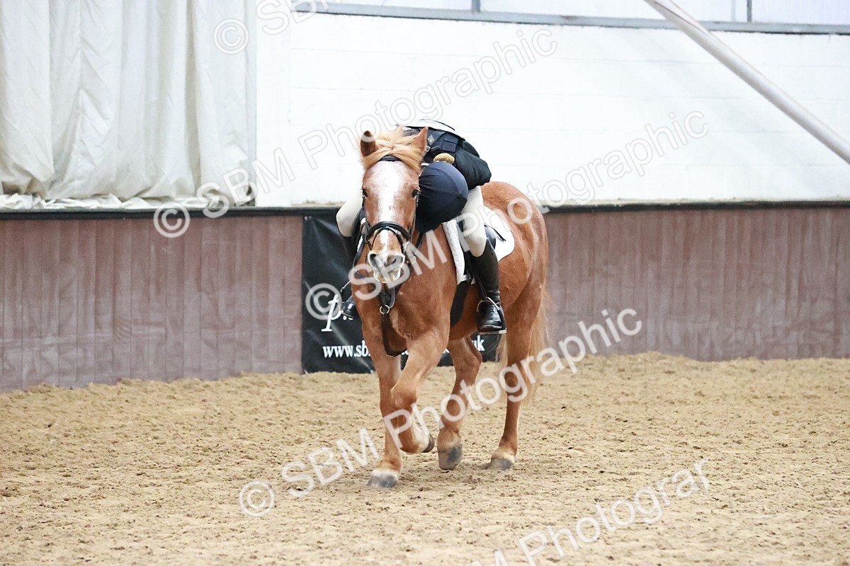 SBM_000609 - Class 2 - Show Jumping 50cm