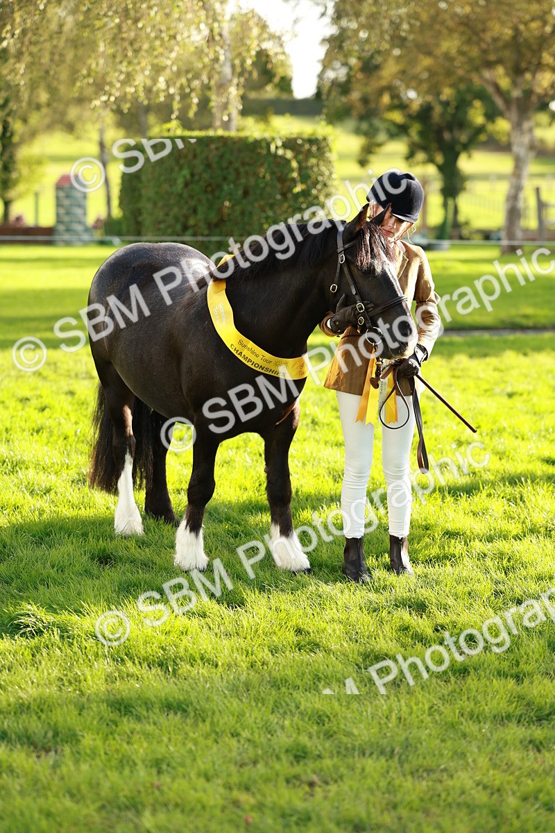 SBM_29287 - Novice & newcomer Supreme Championship