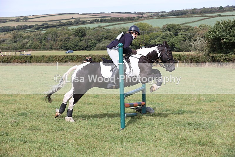 JPP_8609 - Class 2: Trekenning: 80cm Showjumping