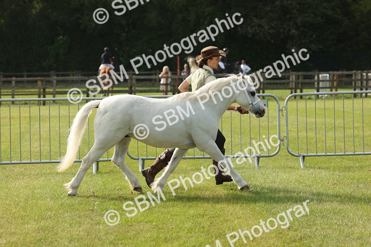 SBM_00573 - Class 6-13 - Mountatin and Moorland In Hand Welsh Breeds