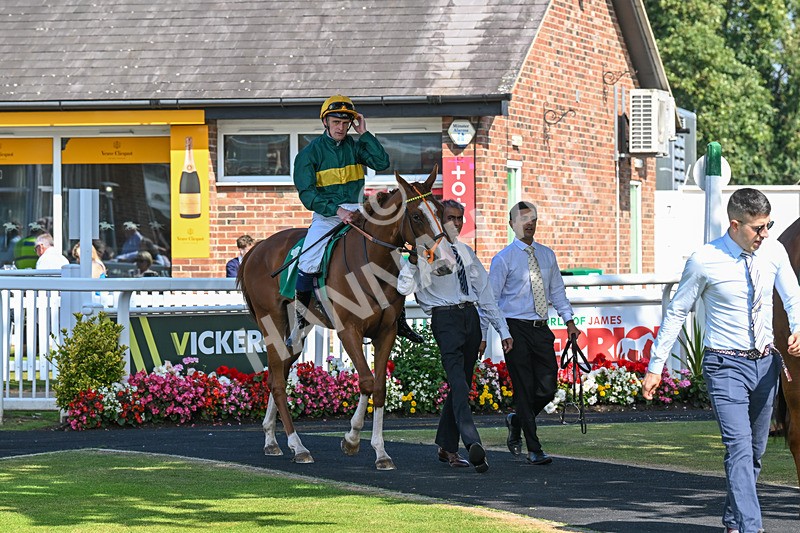 300824-Race 2-Consent-5751 - Race 2