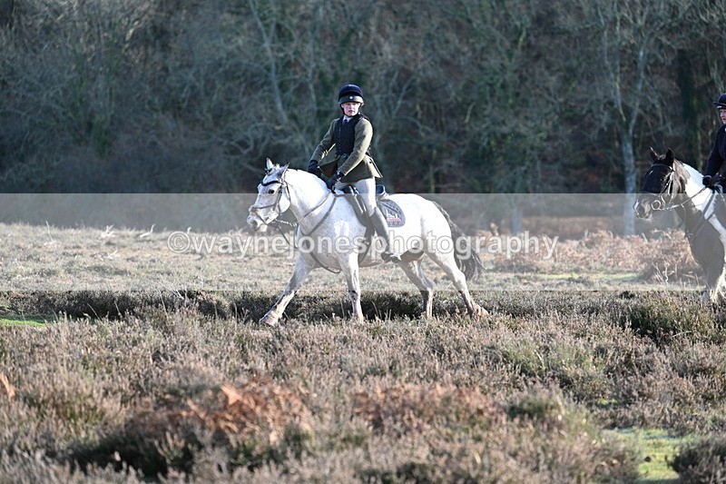 WJ7_7963 - Line 3 (no line 4 or 5)