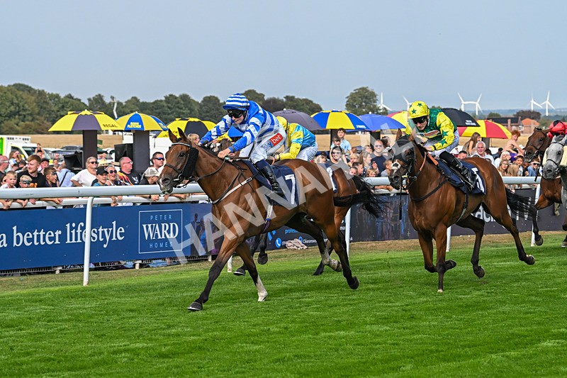 240825-Race 5-This Years Love-3417 - Race 5