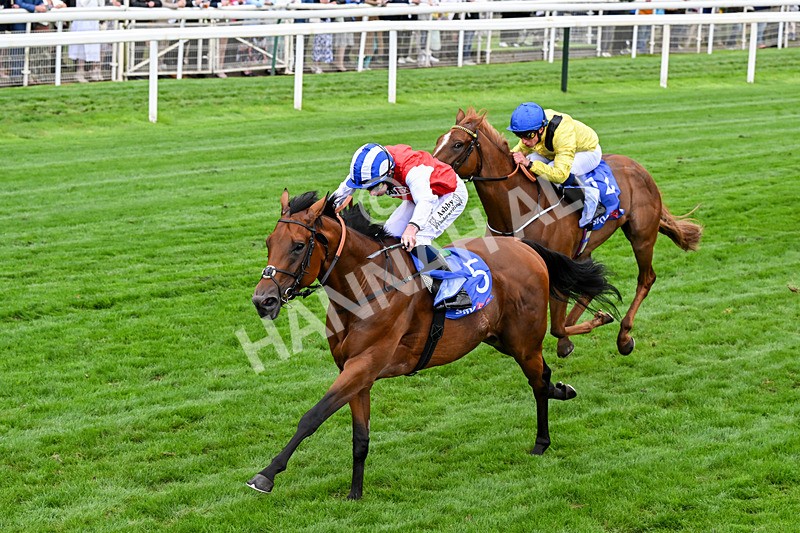 210826-Race 1-Blue Courvoisier-0092 - Race 1 13.50pm Sky Bet Mile Handicap