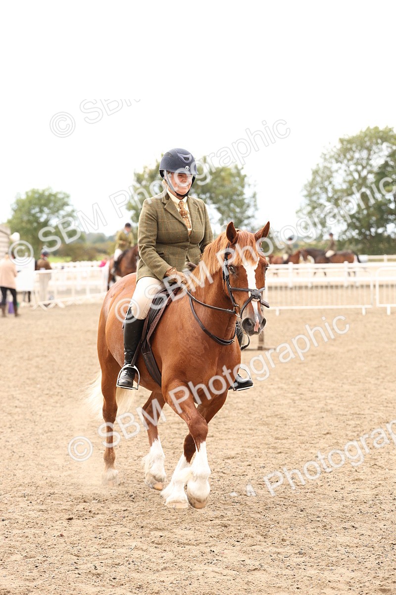 SBM_06783 - Class 58a -  Style & Performance - 70cm (15-19)