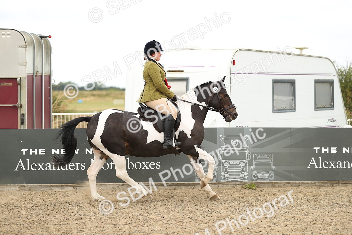 SBM_05294 - Class 47b Style & Performance 60cm (20+)