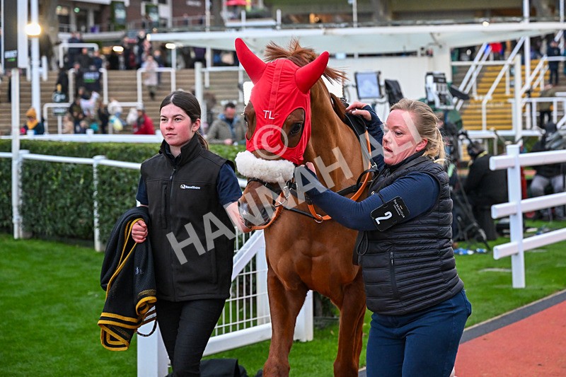 161125-Race 5-Gibbs Island-6310 - Race 5