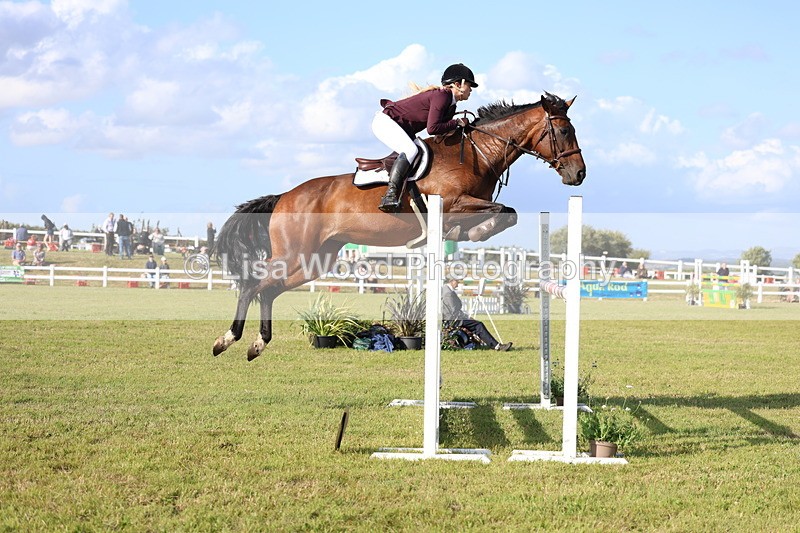 3E7A4439 - Class C: Showjumping Senior Foxhunter