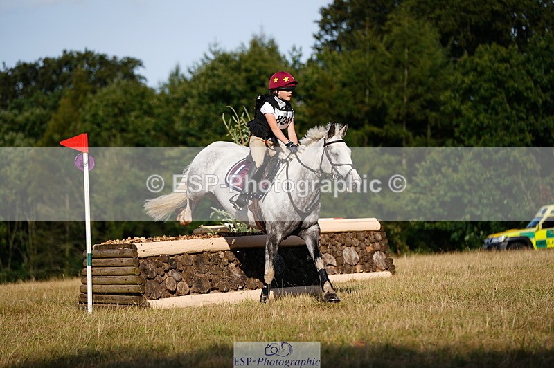 250803A-181314-18907 - R-824-Poppy.Wilkinson-DAISY.DER.BLUME