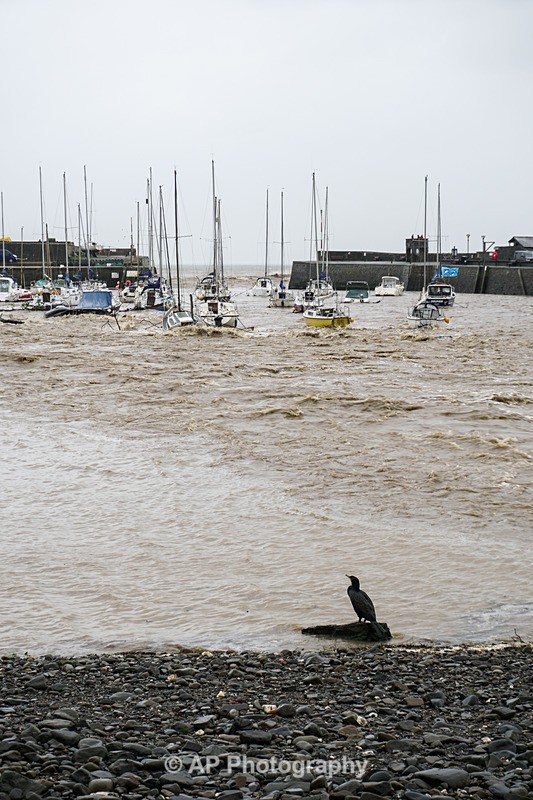 ACP04668-1 - Aberaeron Harbour, during storm Callum 13/10/2018