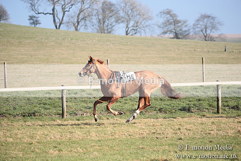 PtP 230219 163 - Vine & Craven Point-To-Point - Barbury 23/02/19