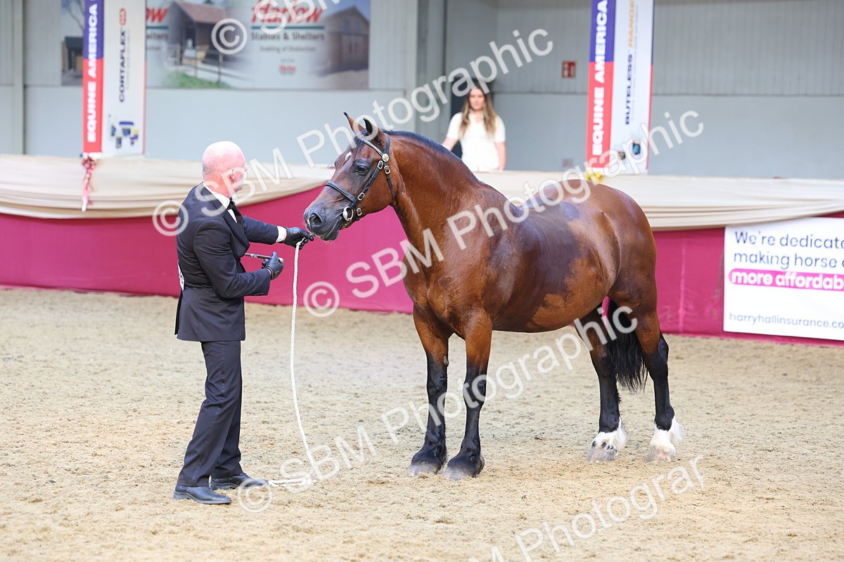 SBM_24991 - Grand Supreme Final Overall Champion