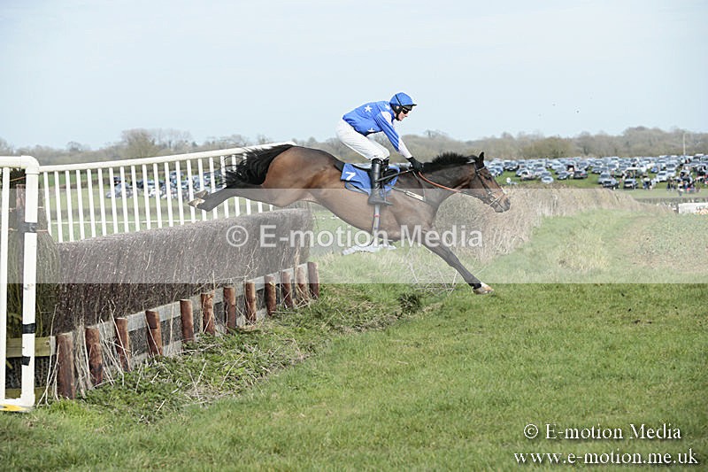 PtP 230319 345 - VWH Hunt Siddington Point-to-Point Racing 23/03/19