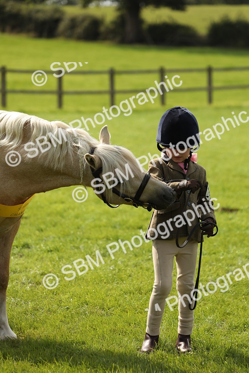 SBM_66319 - In Hand Pony & Youngstock Supreme Championship