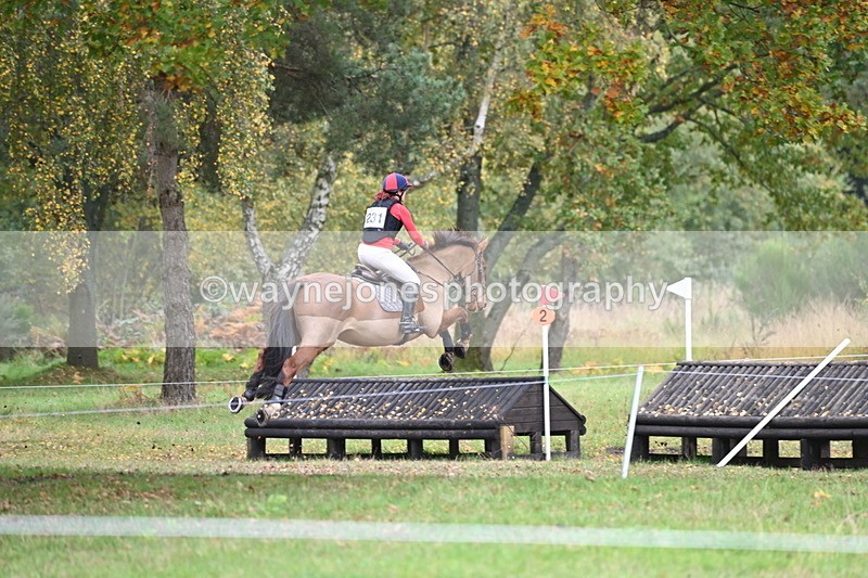 WJ6_3793 - 90cm Cam 1 Time 13:35 to 14:03