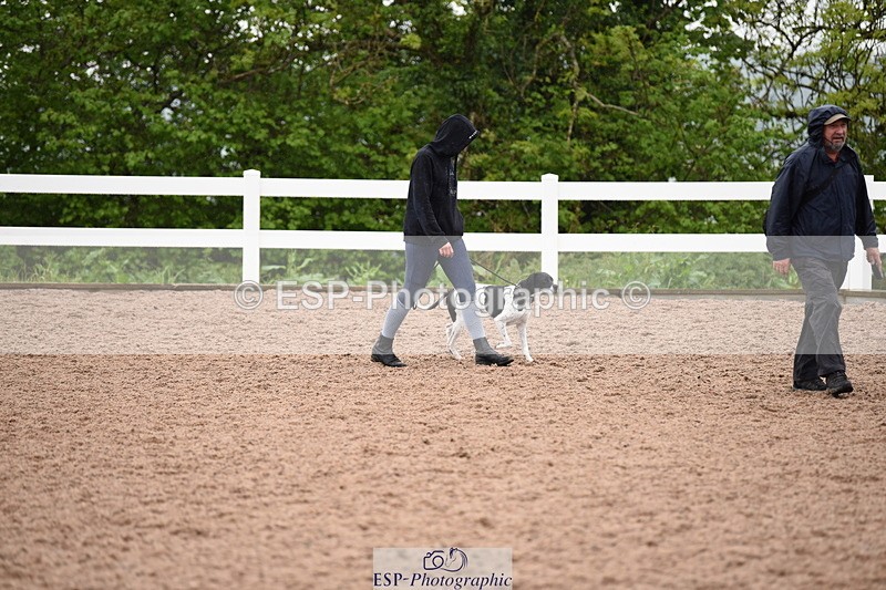 240518A-133740-01329 - Cls 9 Best in Show