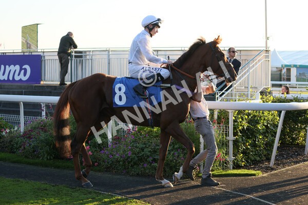 yr08102021r7-12 - Race 7 5.25pm The IRE Incentive, It Pays To Buy Irish Handicap