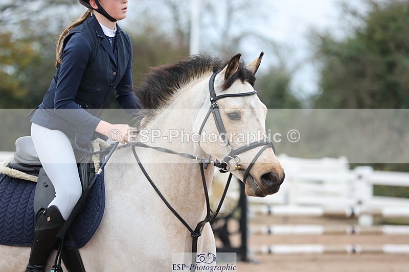 241116X-083107-00080 - Cls 03 Pony Intro 70cm