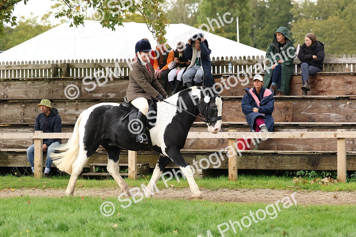 SBM_44974 - S27 - Young Veteran Ridden