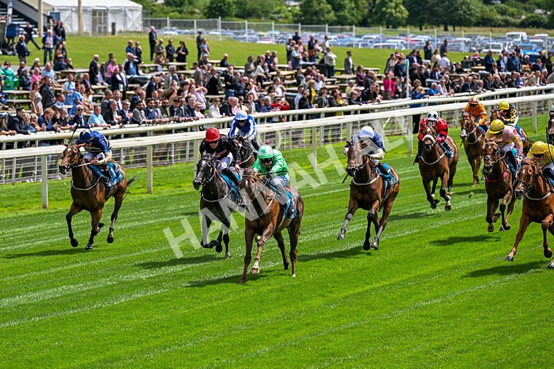 120626-Race 2-Everatease-6810 - Race 2 14.25pm Constant Security Keeping York Racegoers Safe Rous Selling Stakes