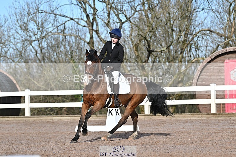 250125-104016-00206 - Dressage - CT Class 4 BE95 (80cm)