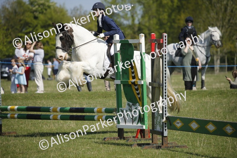 20250427-2000 - Class 13 - Novice Jumping 60cm