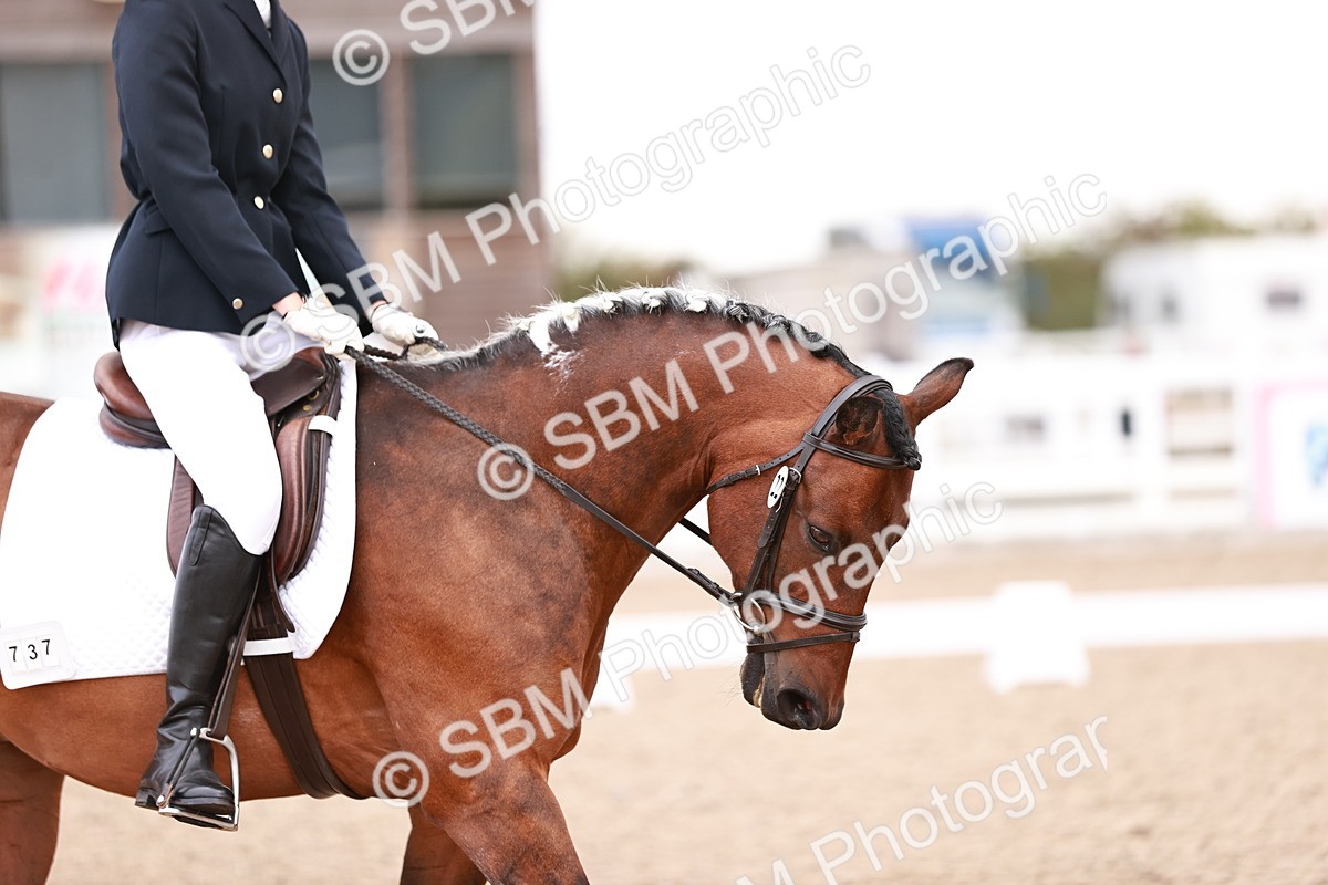 SBM_04019 - Class 36 - Prelim 5