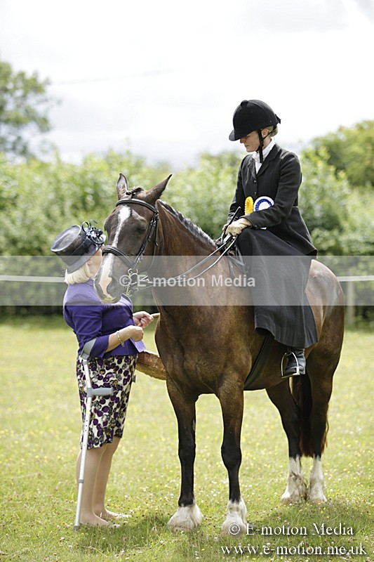 BVR160717-2012 - Side Saddle Classes 16/07/17