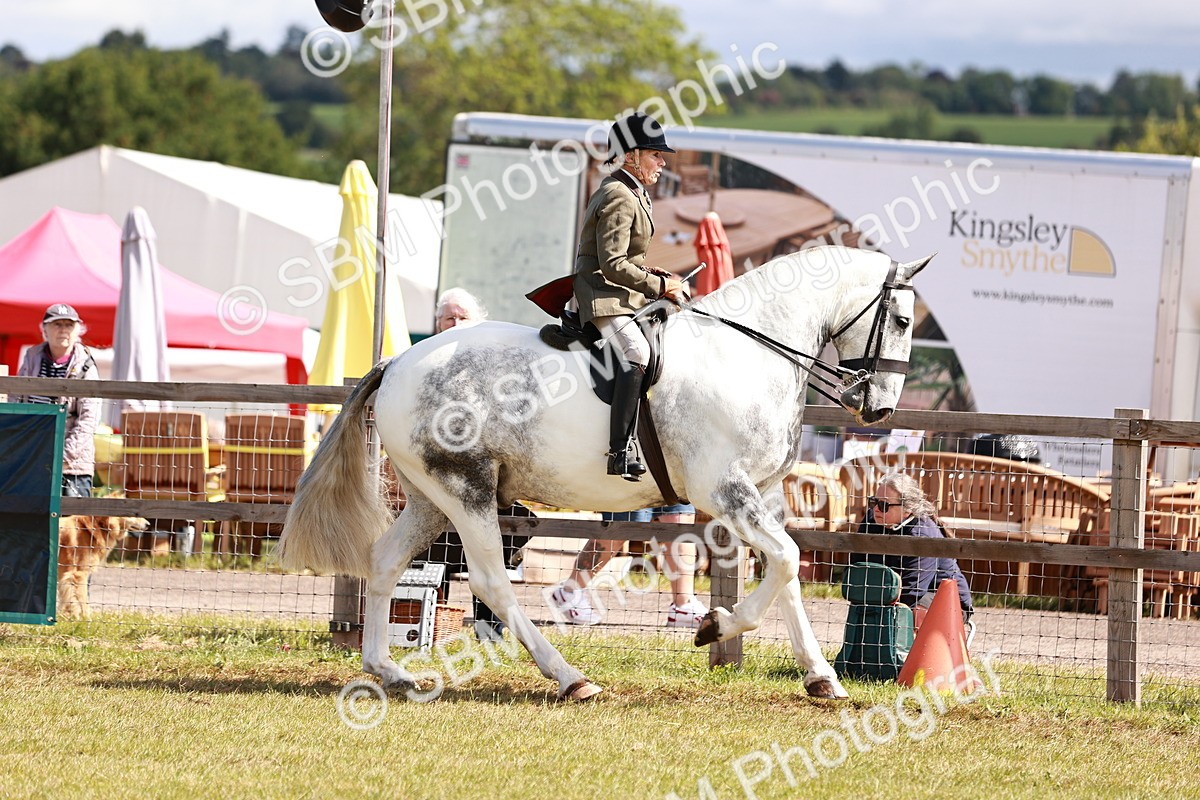 SBM_14016 - Class 85-87 - RIHS Cobs