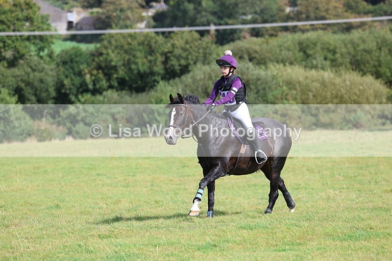 3E7A6553 - Class 1: Trebudannon Open: Pheasant Feeder