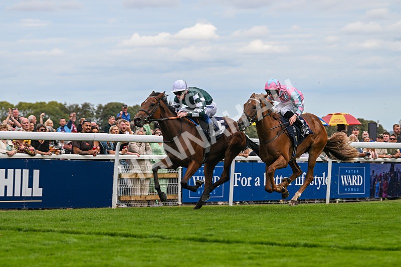 300825-Race 3-Secret Echo-2-11 - Race 3