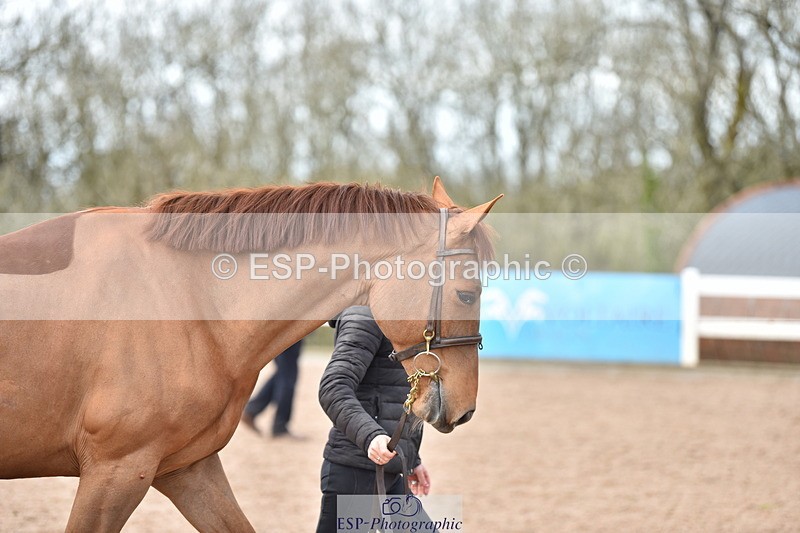 240417A-151330-00785 - 3pm to 4pm