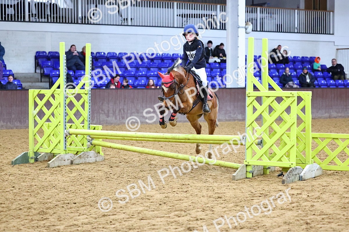 SBM_001388 - Class 3 - Christmas Tree Stakes - 60cm